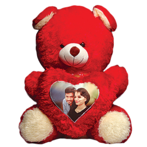  Big Teddy Bear With Heart Pillow 108
