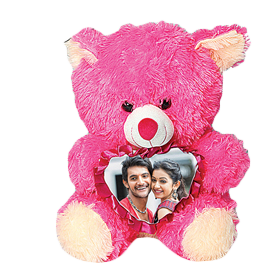 Fur Teddy Bear 16 Inches Pink 109