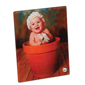 Matt Finished Glass Photot Print 16 261