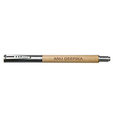 Metal Cap Wooden Pen (1)